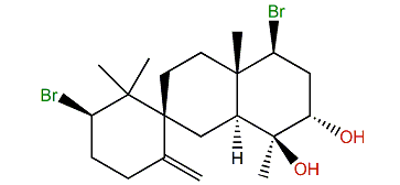 10-Hydroxykahukuene B